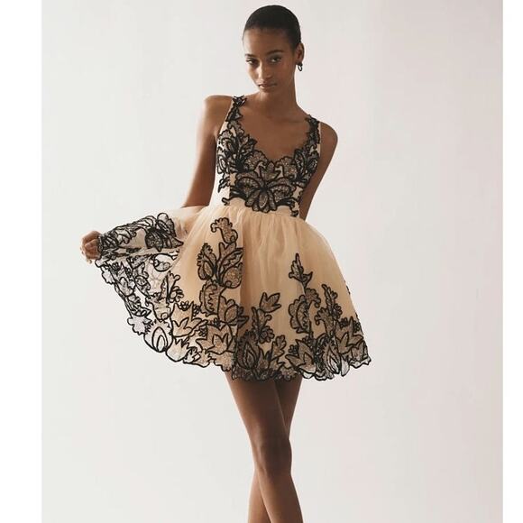 Anthropologie Dresses & Skirts - New Anthropologie Maeve Sleeveless V-Neck Lace Fit & Flare Mini Dress $298 SZ 14